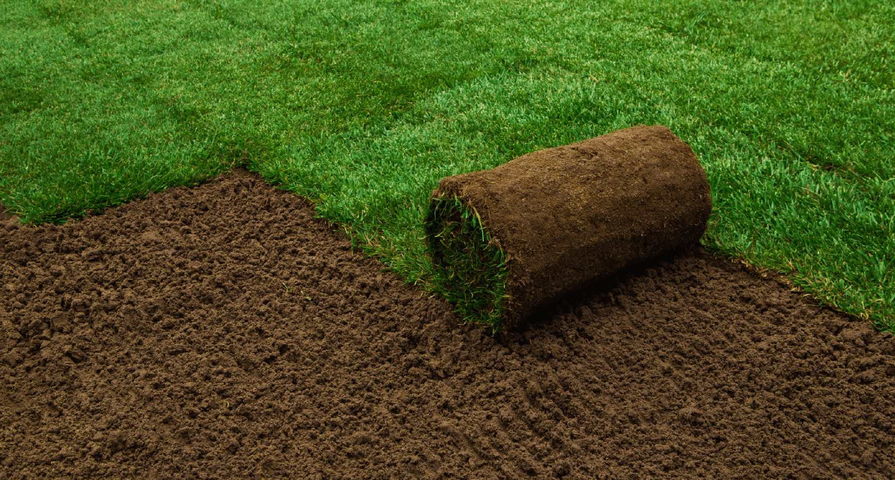 Graszoden kopen Aalst Graszoden kopen Aalst