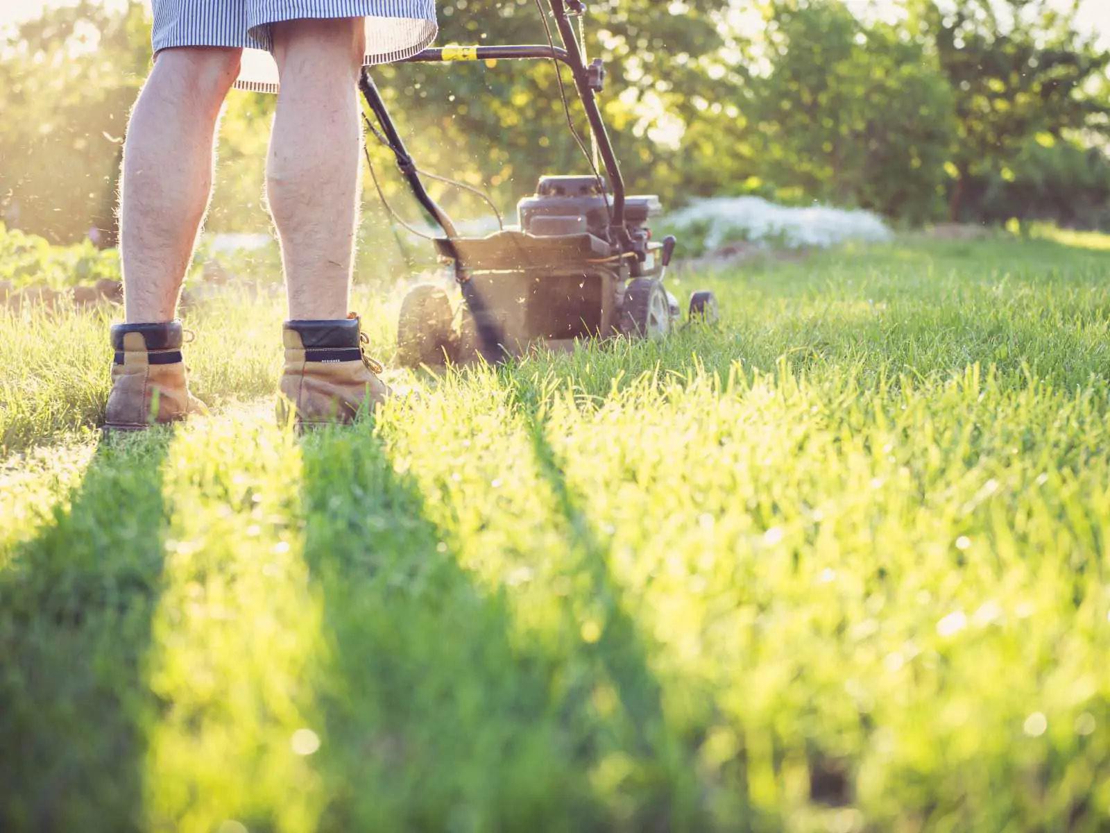Grasmaaien in de zomer Iemand die aan het grasmaaien is in de zomer
