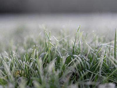 Wintertips voor het aanleggen van uw gazon