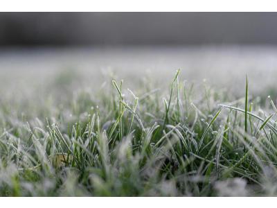 Wintertips voor het aanleggen van uw gazon