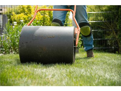 Gazonwals – wanneer wel en niet geschikt?