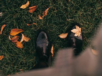 3 belangrijke gazon onderhoud tips voor in het najaar