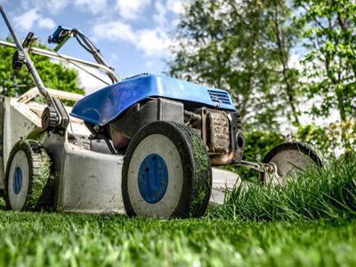 Effectief herkennen en verwijderen van onkruid