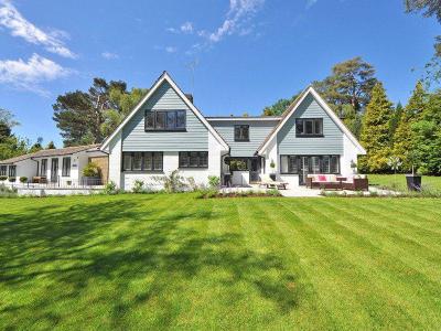 Eén grassoort voor al uw doeleinden | Hendriks Graszorden