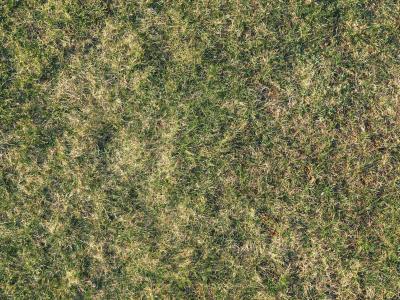 Gazon herstellen of vervangen na droogte