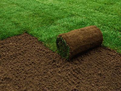 Dit is het ideale moment om graszoden te leggen