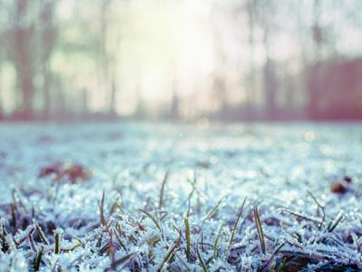 Het gras met rust laten tijdens de wintermaanden, goed idee of niet? | Gazon-online.be