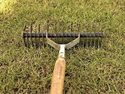 Het winterklaar maken van uw gazon | Hendriks Graszoden