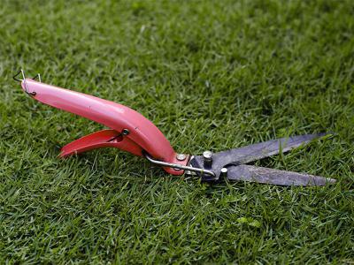 Maak uw gazon zomerklaar in maart | Hendriks Graszoden