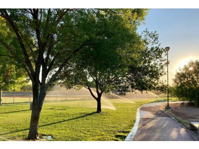 Zo blijft uw gazon mooi tijdens uw afwezigheid