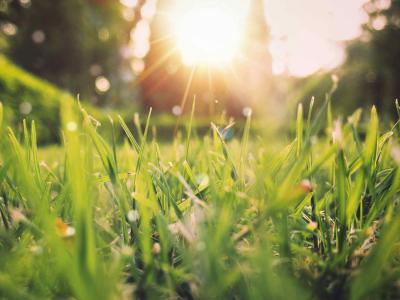 Geniet van een prachtige tuin in de lente met deze vijf tips