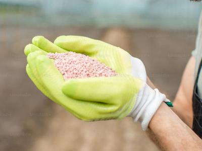 Het belang van kalium voor uw gras | Gazon-online.be