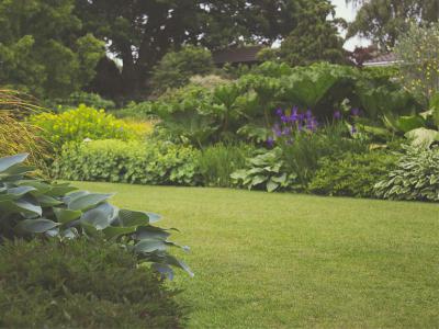 Zo maakt u uw tuin klaar voor de lente in februari | Gazon-online.be