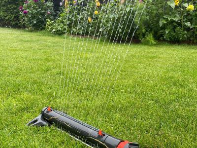 Zomertips voor een groen gazon