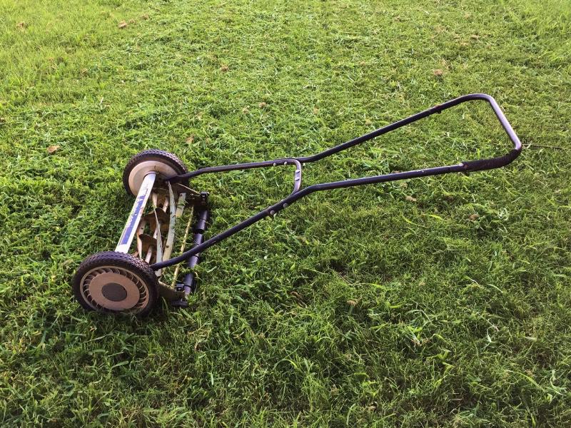 Uw gras maaien in het najaar? Voorkom deze fouten!! Uw gras maaien in het najaar? Voorkom deze fouten!