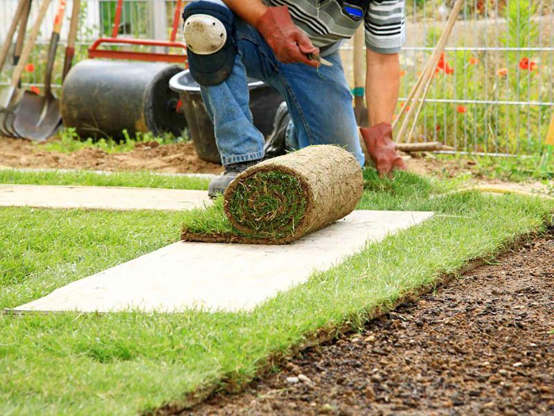 Grasmatten leggen: wanneer is de beste periode Grasmatten leggen: wanneer is de beste periode
