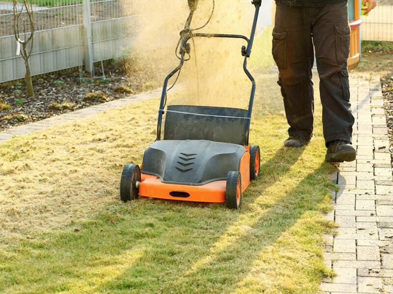 Het beluchten of verticuteren van uw gazon Het beluchten of verticuteren van uw gazon