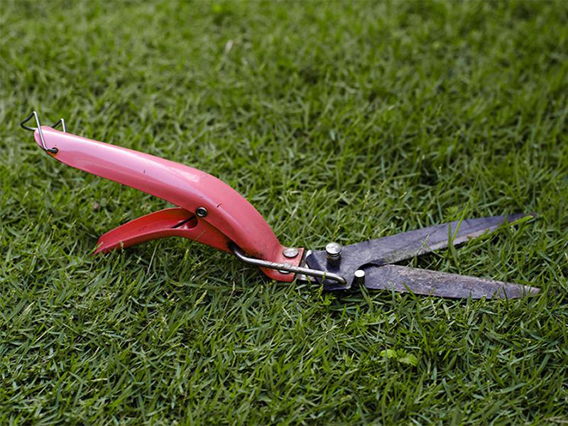 Maak uw gazon zomerklaar in maart Maak uw gazon zomerklaar in maart