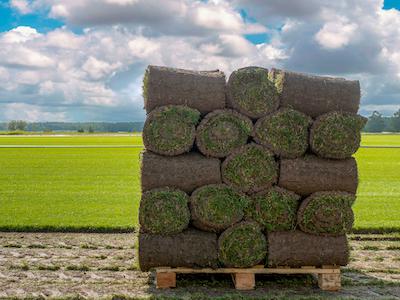 Gras tijdelijk bewaren Gras tijdelijk bewaren
