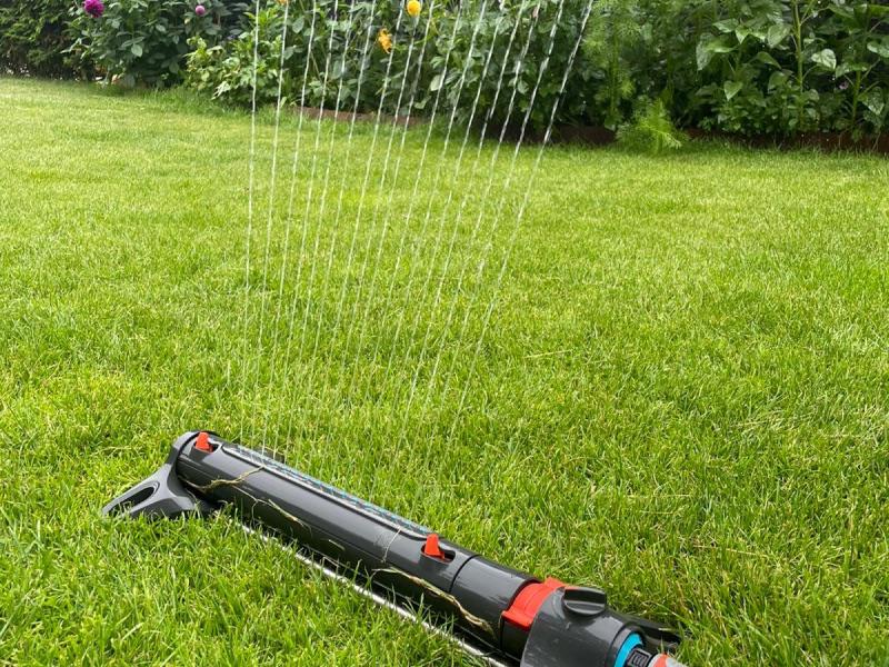 Uw gazon niet te veel beregenen bij droogte Uw gazon niet te veel beregenen bij droogte