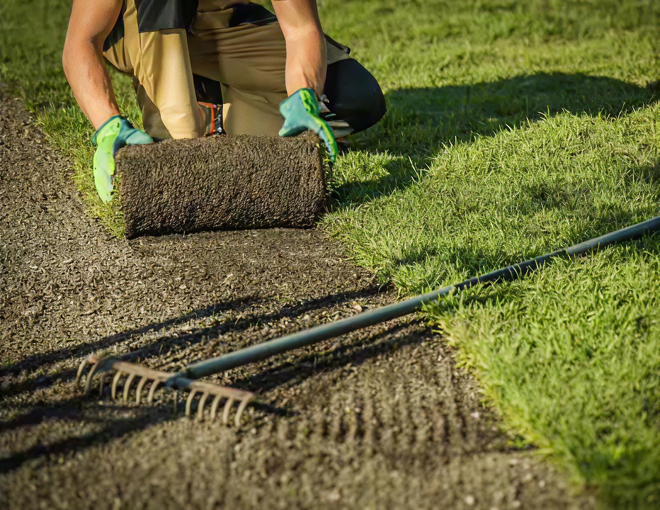 Voorjaarsplanning voor een nieuw gazon Grasmatten leggen in maart
