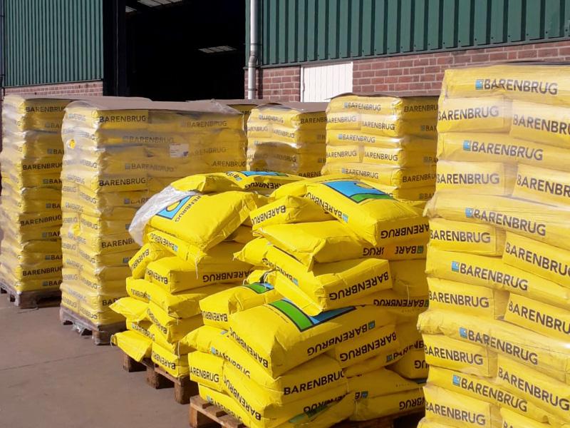 Welk graszaad moet u kopen? Welk graszaad moet u kopen?