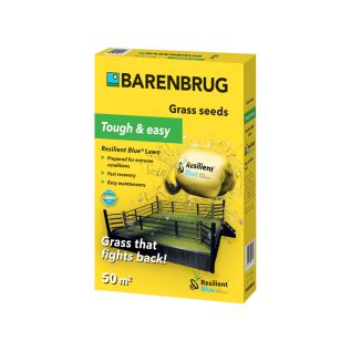 Barenbrug Resilient Blue Lawn graszaad 1 kg | Hendriks Graszoden