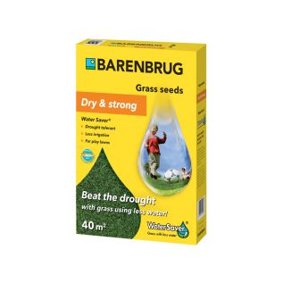 Barenbrug Water Saver graszaad 1 kg | Hendriks Graszoden