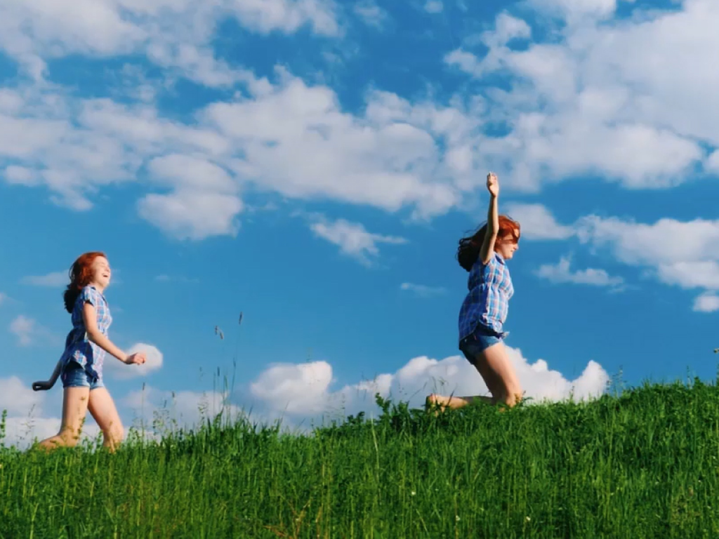 Barenbrug SV7 Rapid graszaad 15 kg