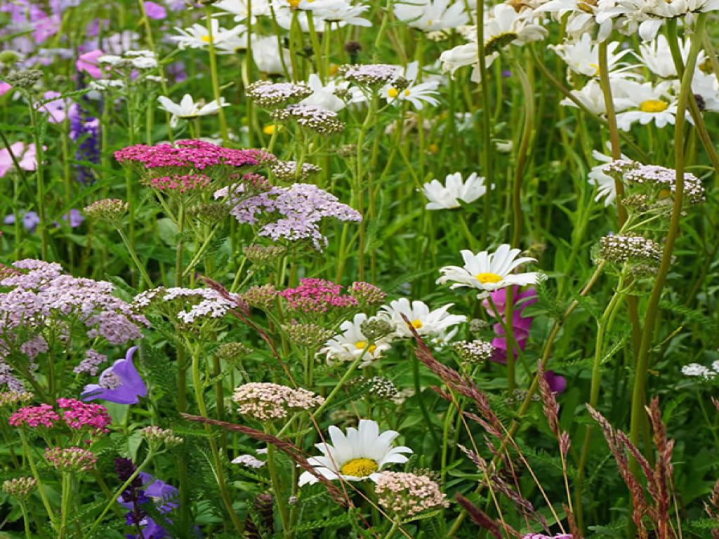 Bloemmat Patchwork Quilt