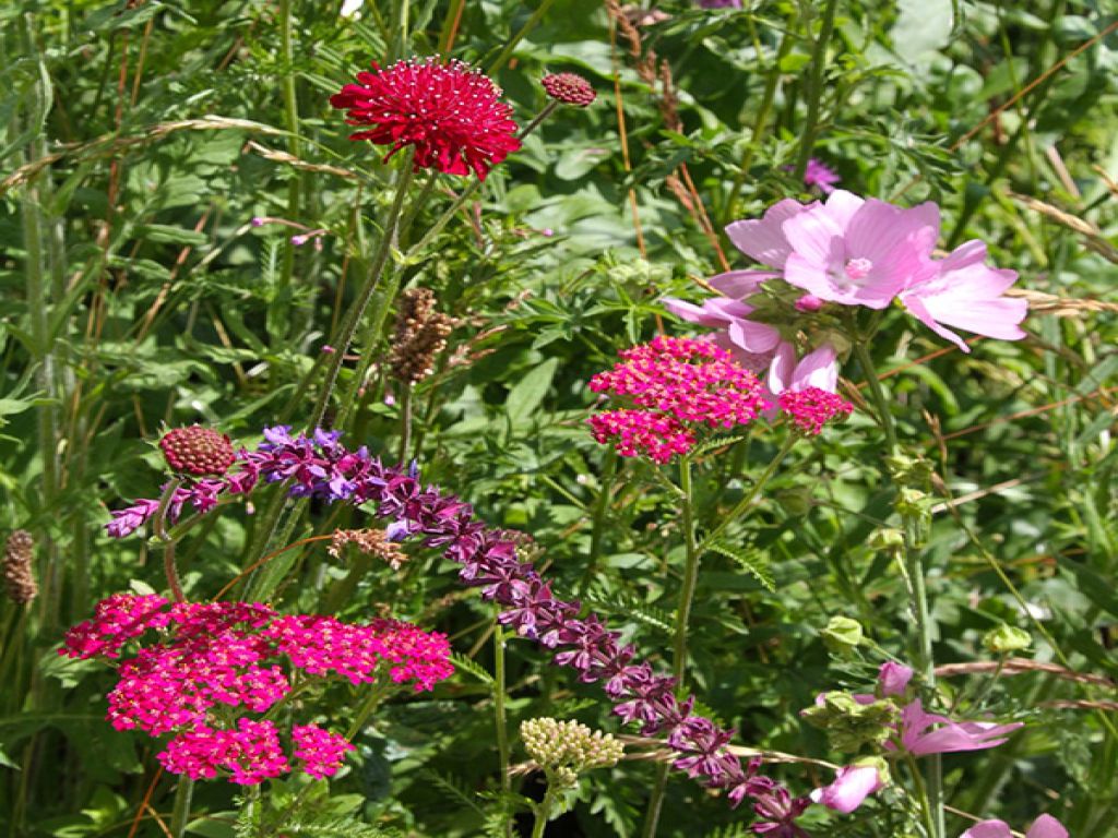 Bloemmat Treasure Chest