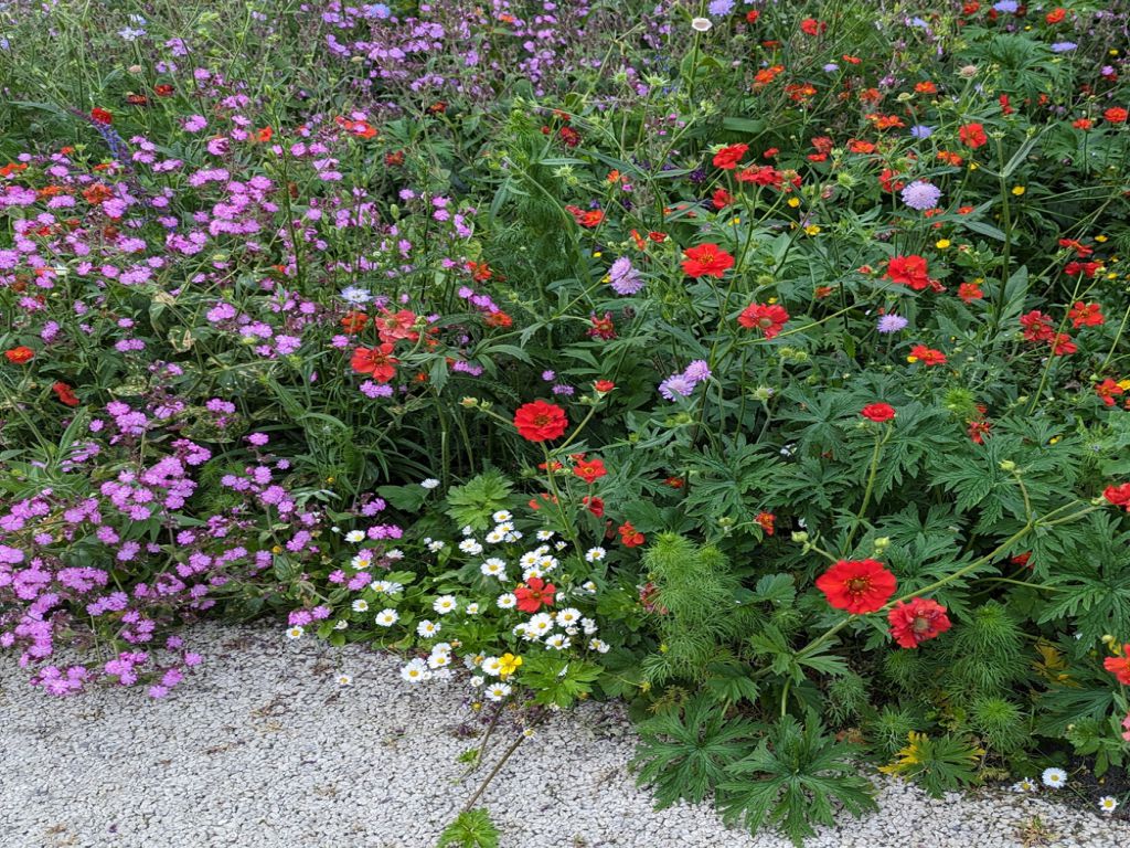 Bloemmat Woodland Fringe