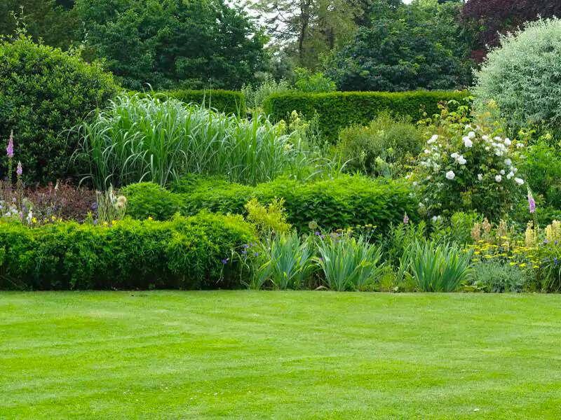 De tuintrends van 2024 | Hendriks Graszoden De tuintrends van 2024 | Hendriks Graszoden