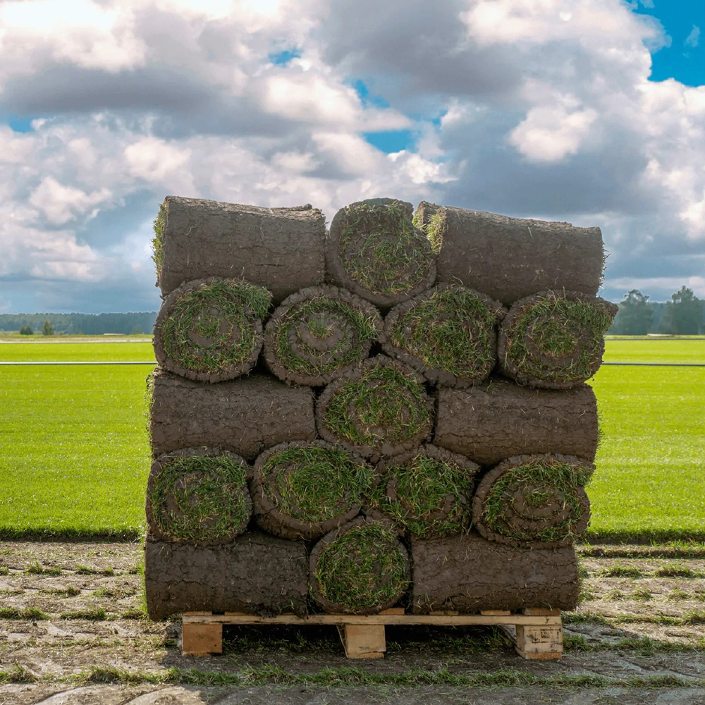 Grasmatten bestellen en snel geleverd in Zutendaal Verse grasmatten klaar voor levering in Zutendaal