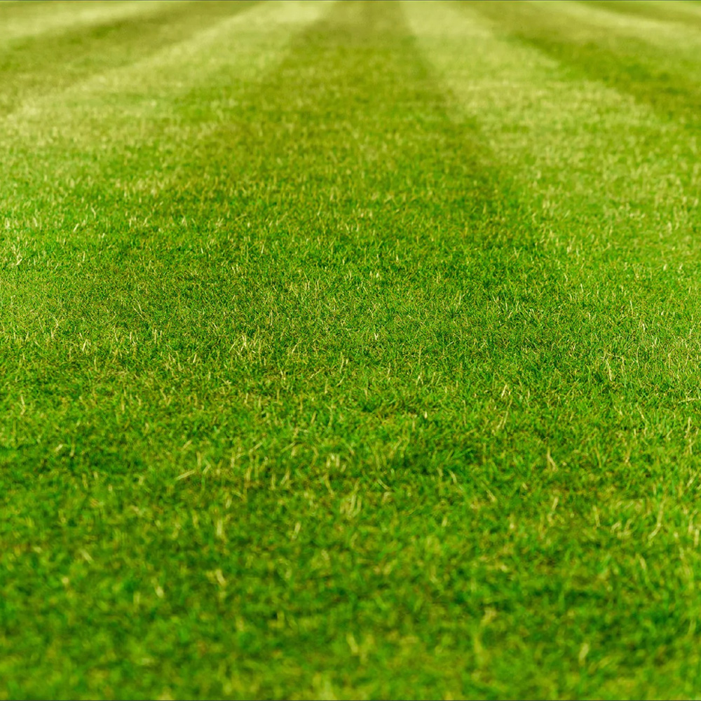 Grasmatten in Zutendaal kopen bij Gazon-online.be Grasmatten omgeving van Zutendaal