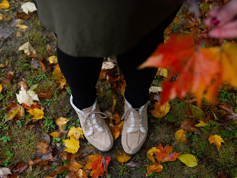 Onderhoudskalender | Oktober-November-December Onderhoudskalender | Oktober-November-December