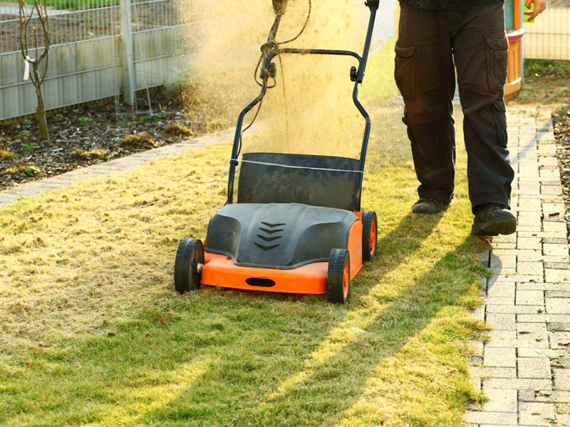 Gras onderhoud tips Gras onderhoud tips