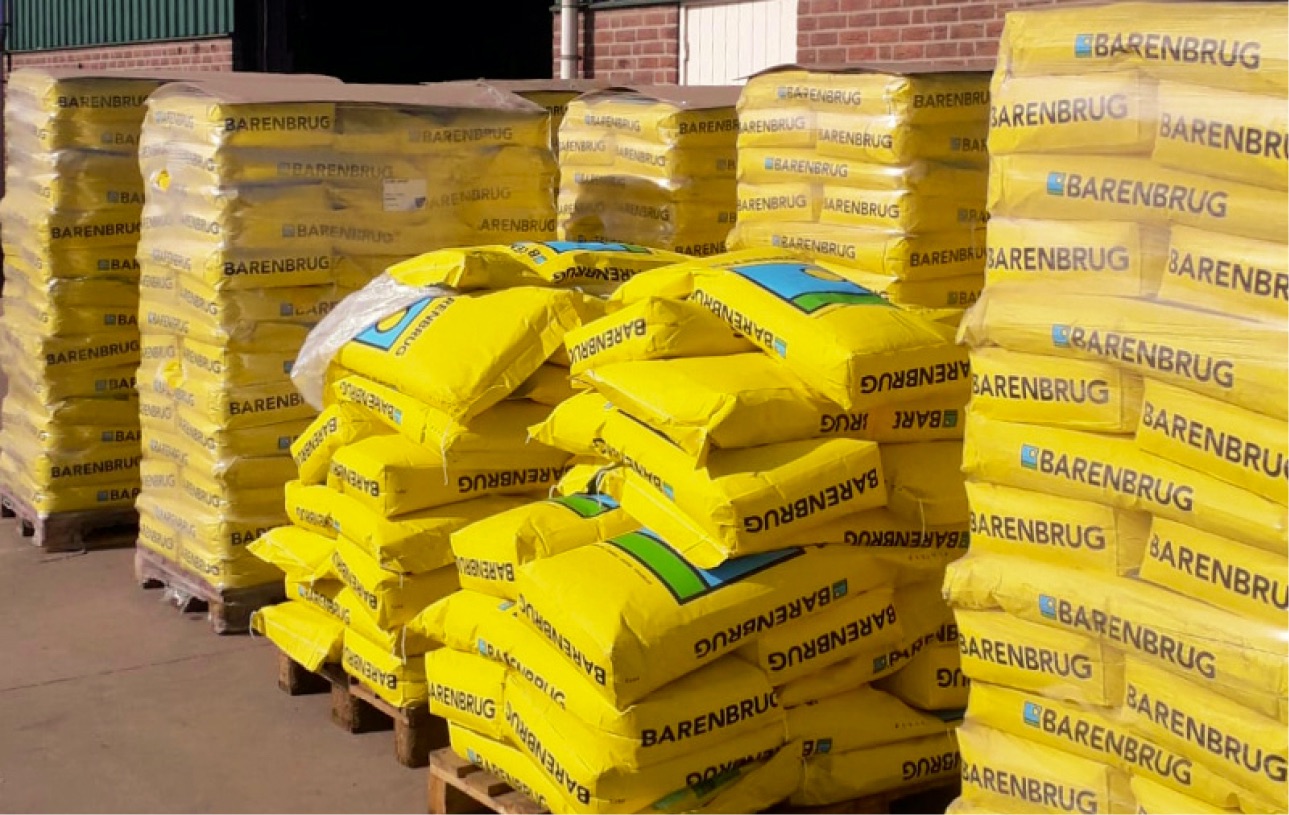 Barenbrug Resilient Blue Lawn Barenbrug Resilient Blue Lawn