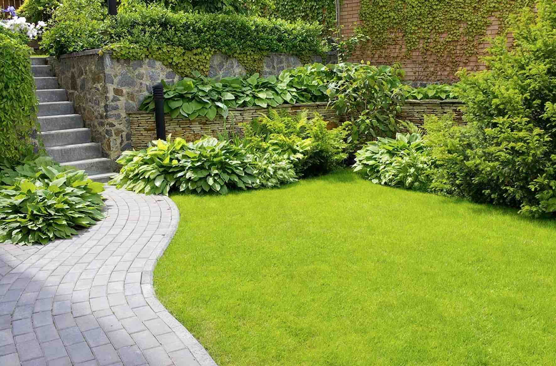 Verschillende soorten gras Verschillende soorten gras