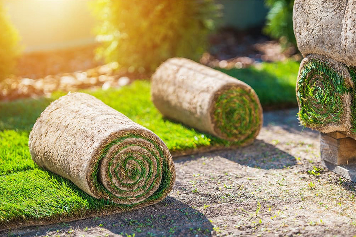 Grasmatten onderhoud Hasselt Grasmatten Hasselt onderhoud