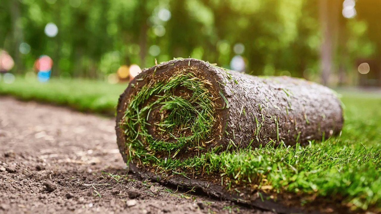 Graszoden Dendermonde | Gazon-online.be Graszoden Dendermonde | Gazon-online.be