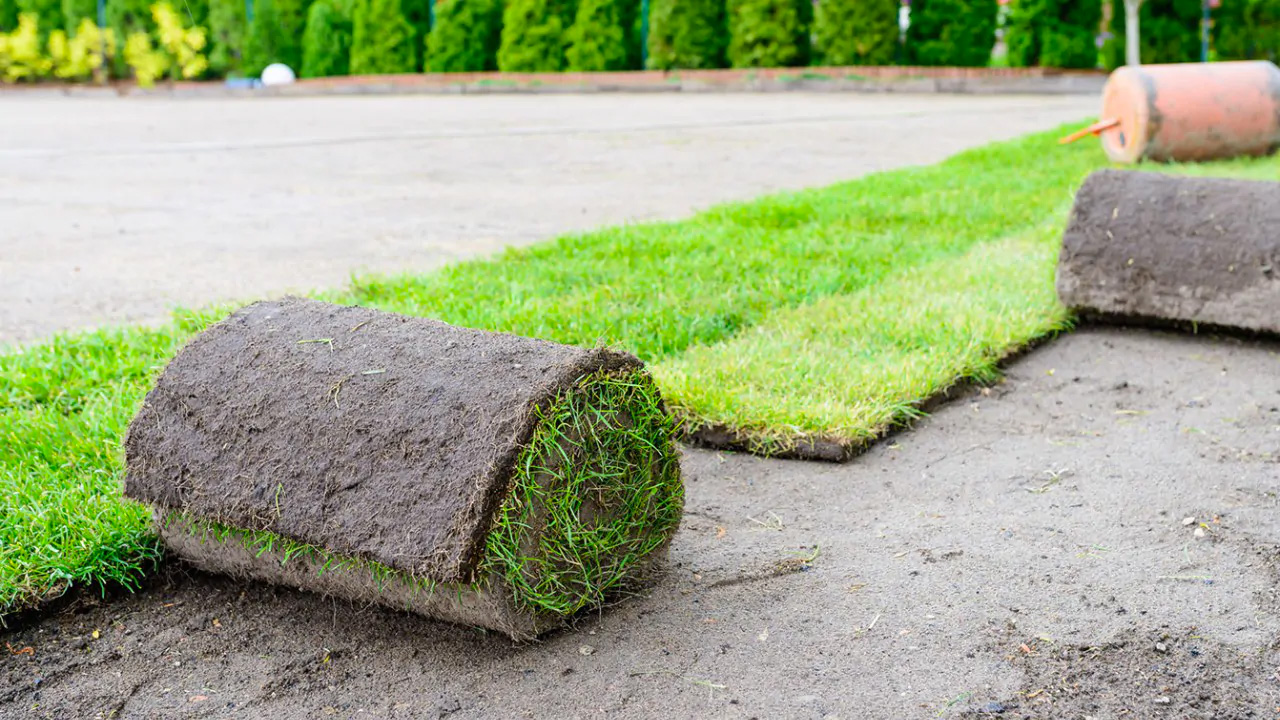 Graszoden Turnhout Graszoden Turnhout