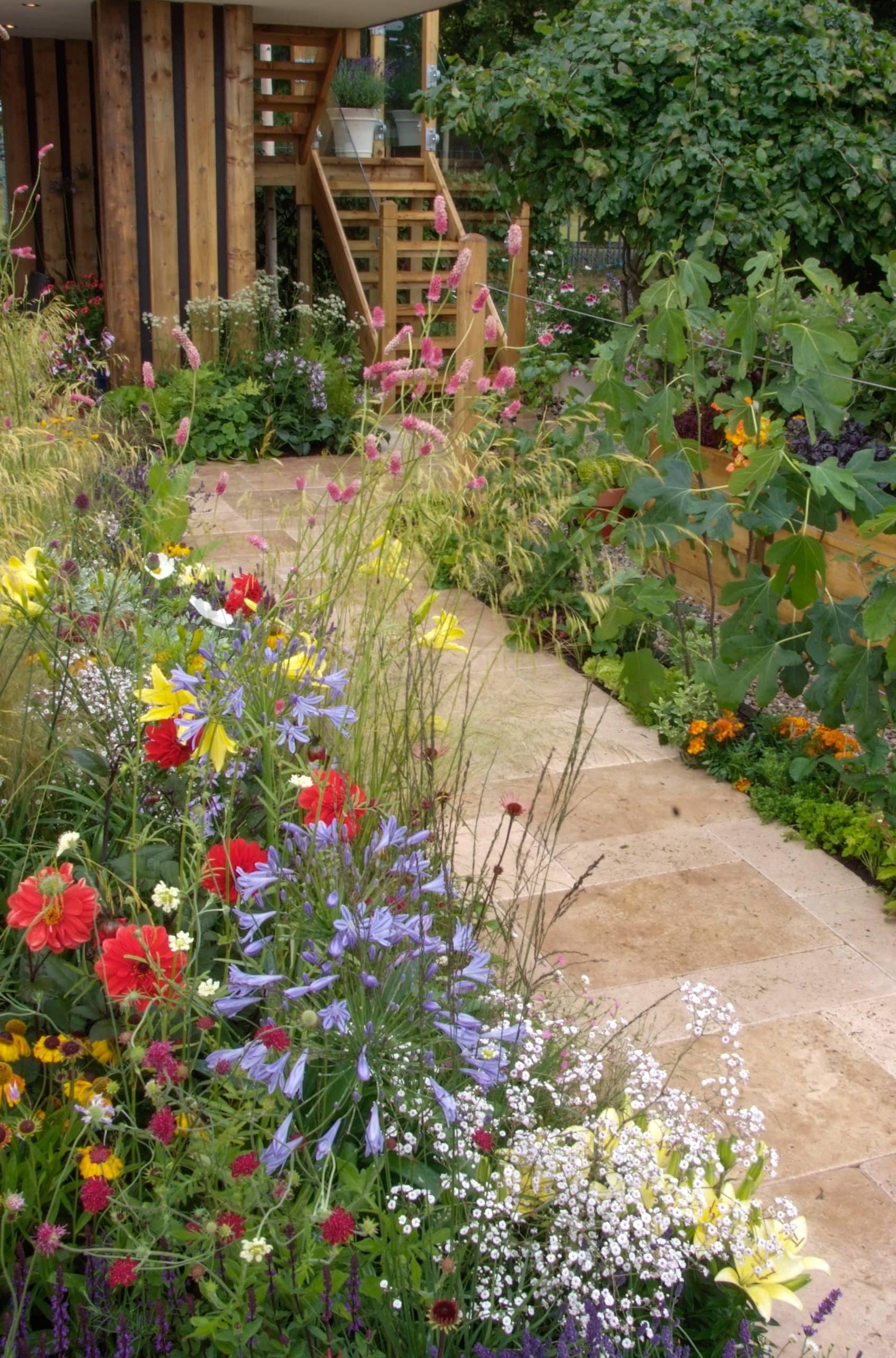 Hoge en lage borderplanten Verschillende maten en bloemen bij de matten