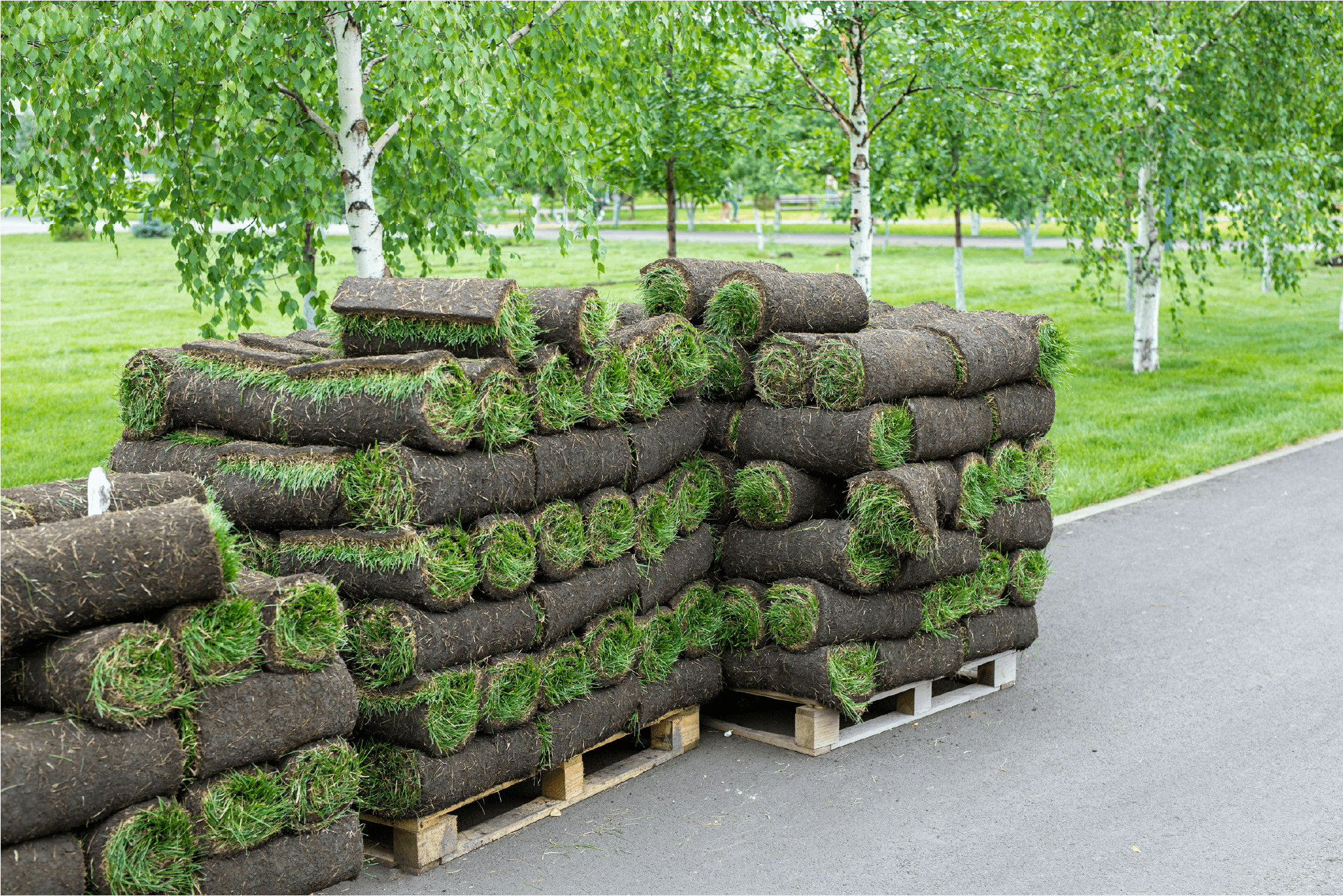 Het gazon onderhouden in West-Vlaanderen Het gazon onderhouden in West-Vlaanderen