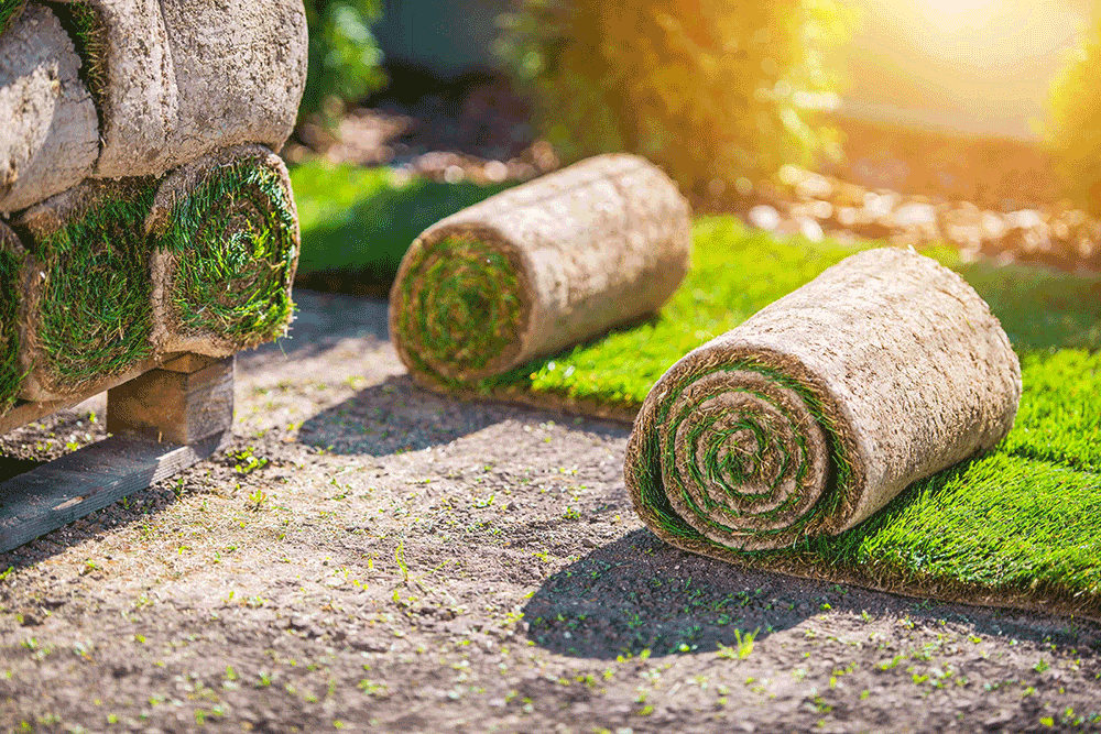 Klassieke fouten bij het leggen van grasmatten Klassieke fouten bij het leggen van grasmatten