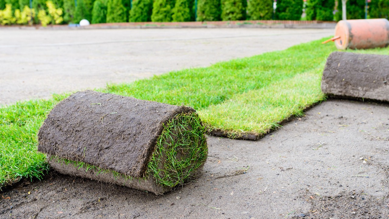 Grasmatten gelegd op zandgrond in een groene tuin Grasmatten gelegd op zandgrond in een groene tuin