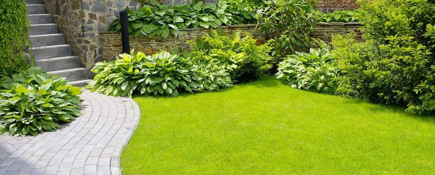 Partners en samenwerkingen Partners en samenwerkingen