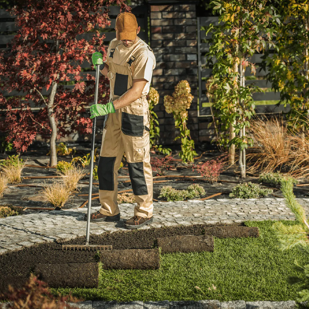 Welke grasmat past het beste bij uw tuin in Zutendaal? Verschillende soorten grasmatten voor tuinen in Zutendaal